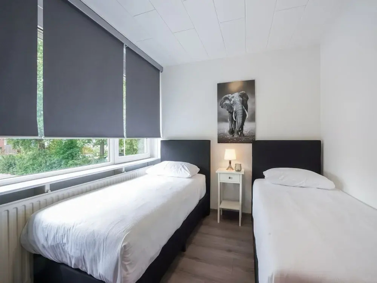 Stay With Garden, Limburg