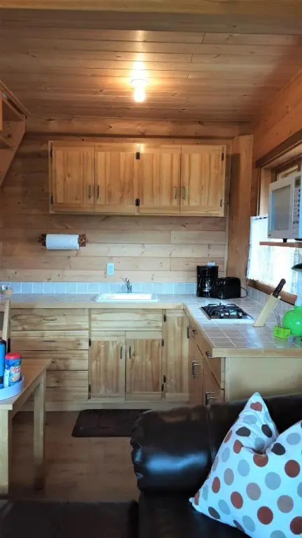 Tschurtschenthaler Lodge