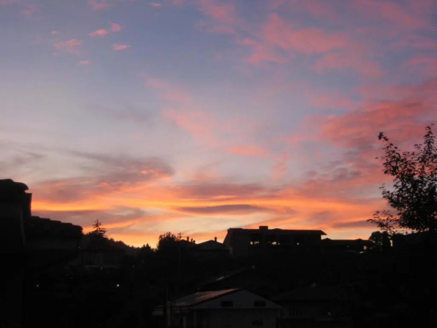 Red Wine - Guest House