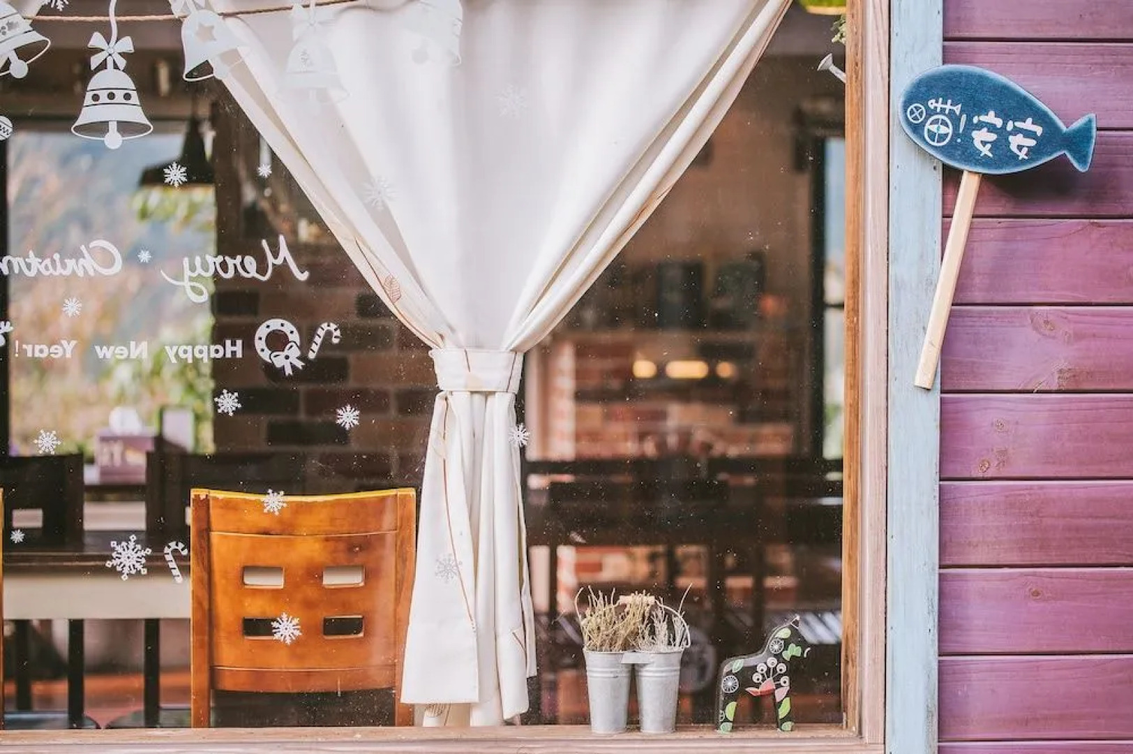 Nanzhuang Olive Tree