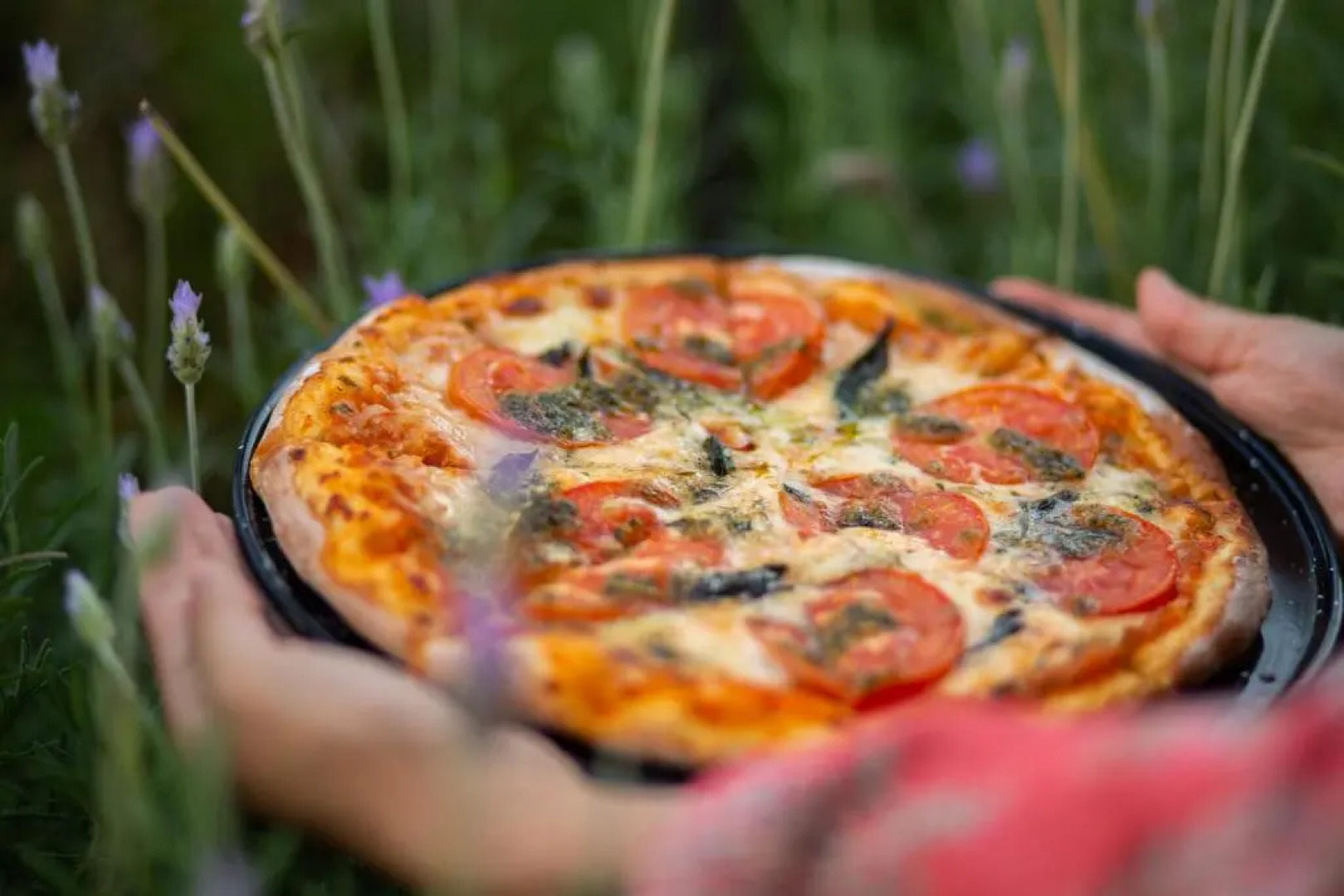 Cantera Diez Hotel Boutique