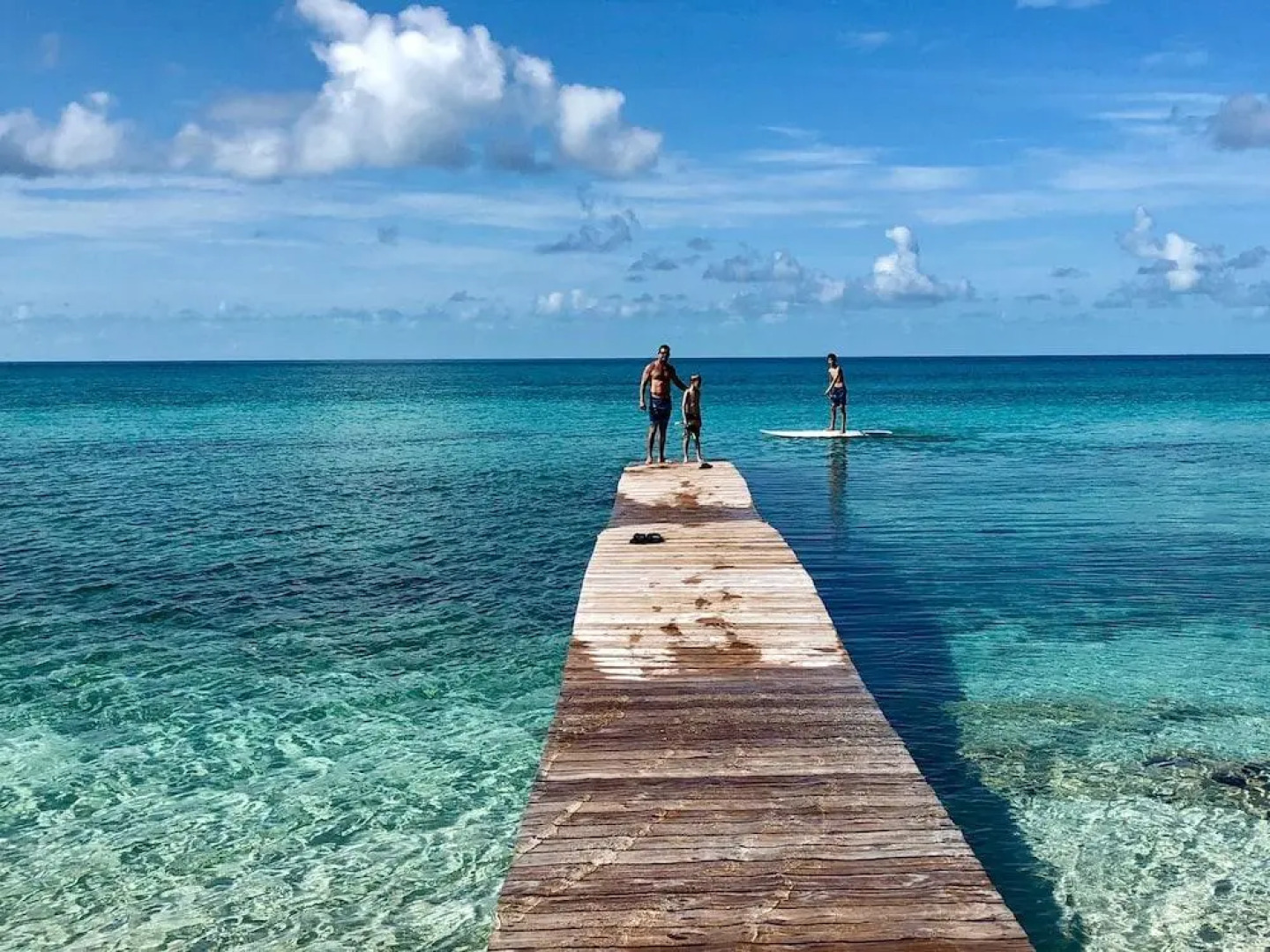 Buttonwood Reserve 1D