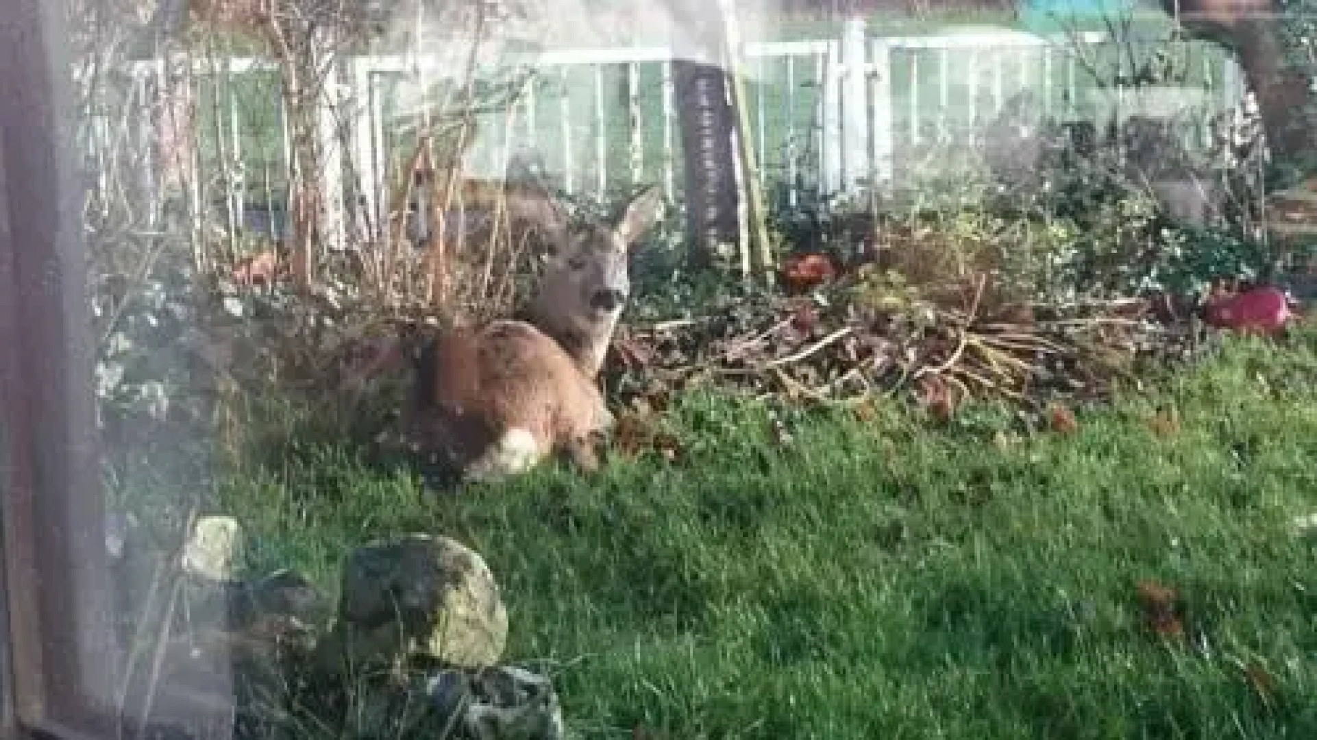 Ferienwohnung Criée