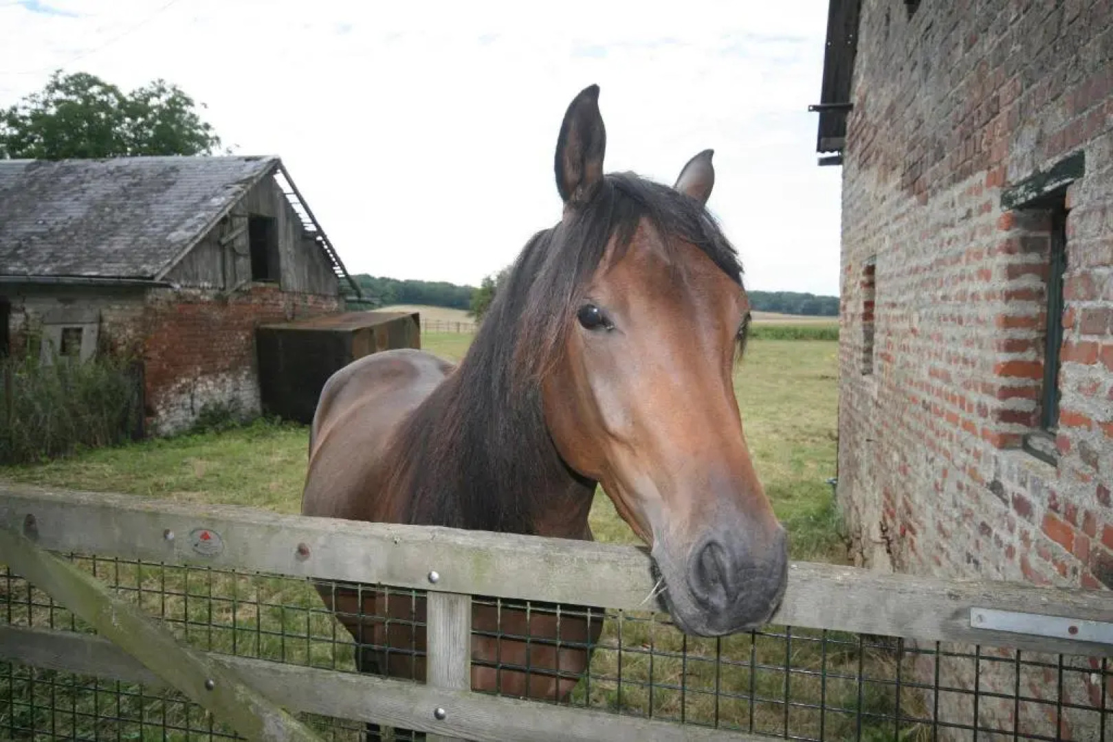 Le Prieuré Chambres dhôtes