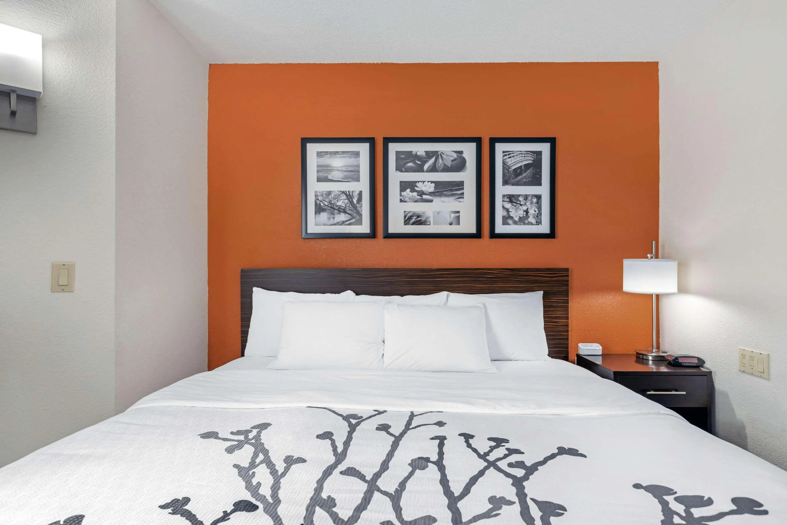 Sleep Inn DeWitt - Lansing North