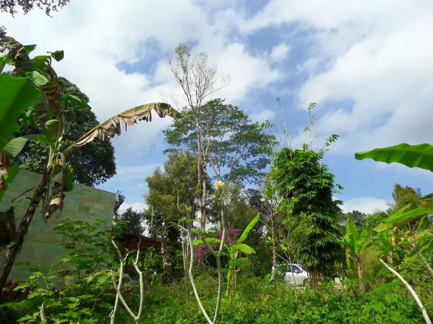 Senetan Villa and Spa Resort