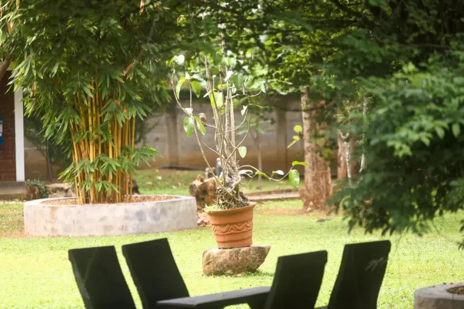 mastodon valley safari resort