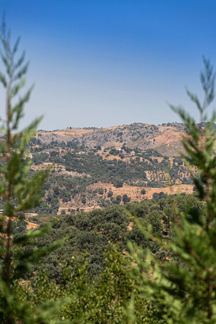 Villa Armonia Boutique Living