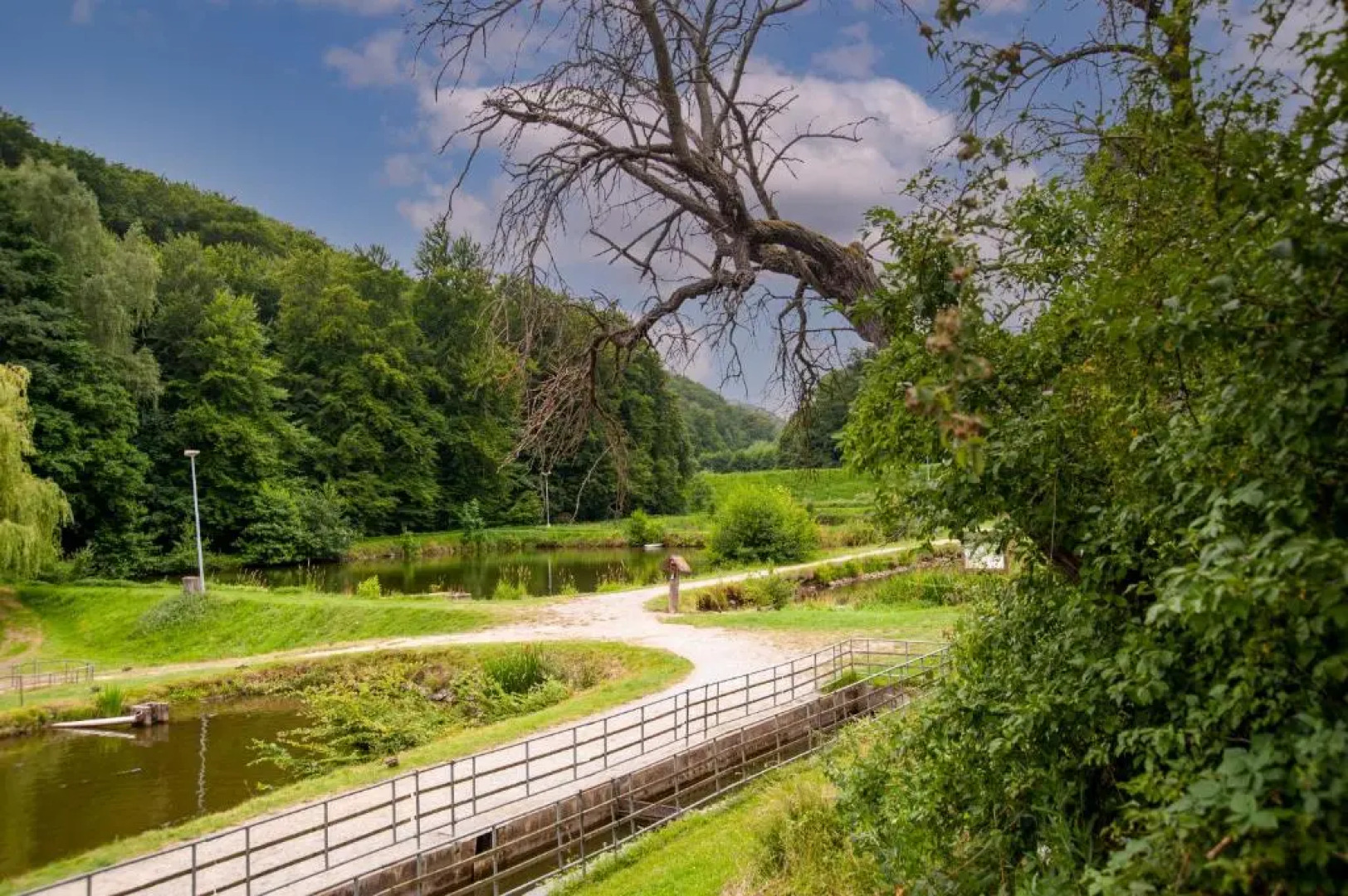 Hotel Zum Klosterfischer