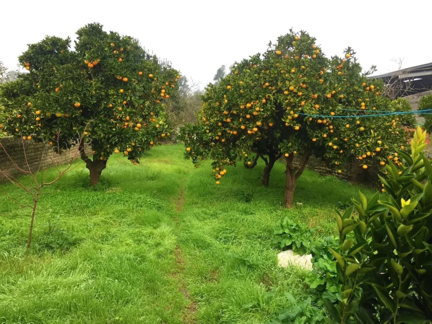 House With 3 Bedrooms in Mira, With Enclosed Garden and Wifi - 5 km Fr