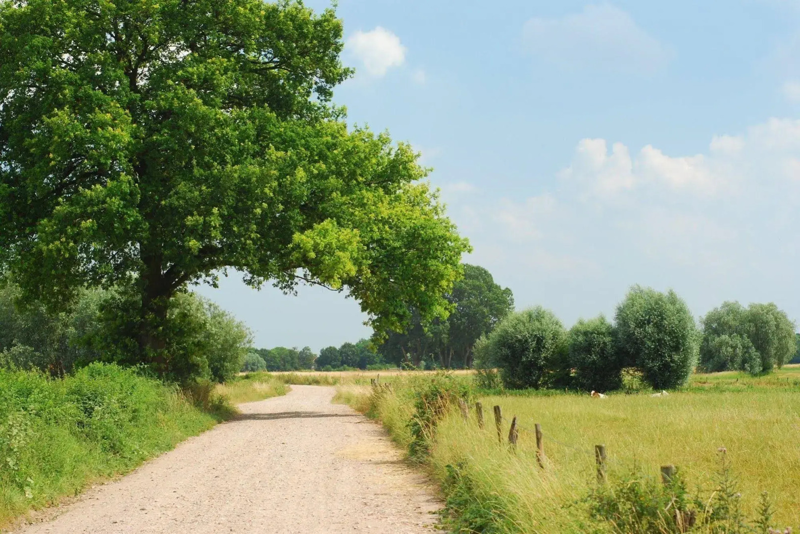 Landgoedhotel Woodbrooke