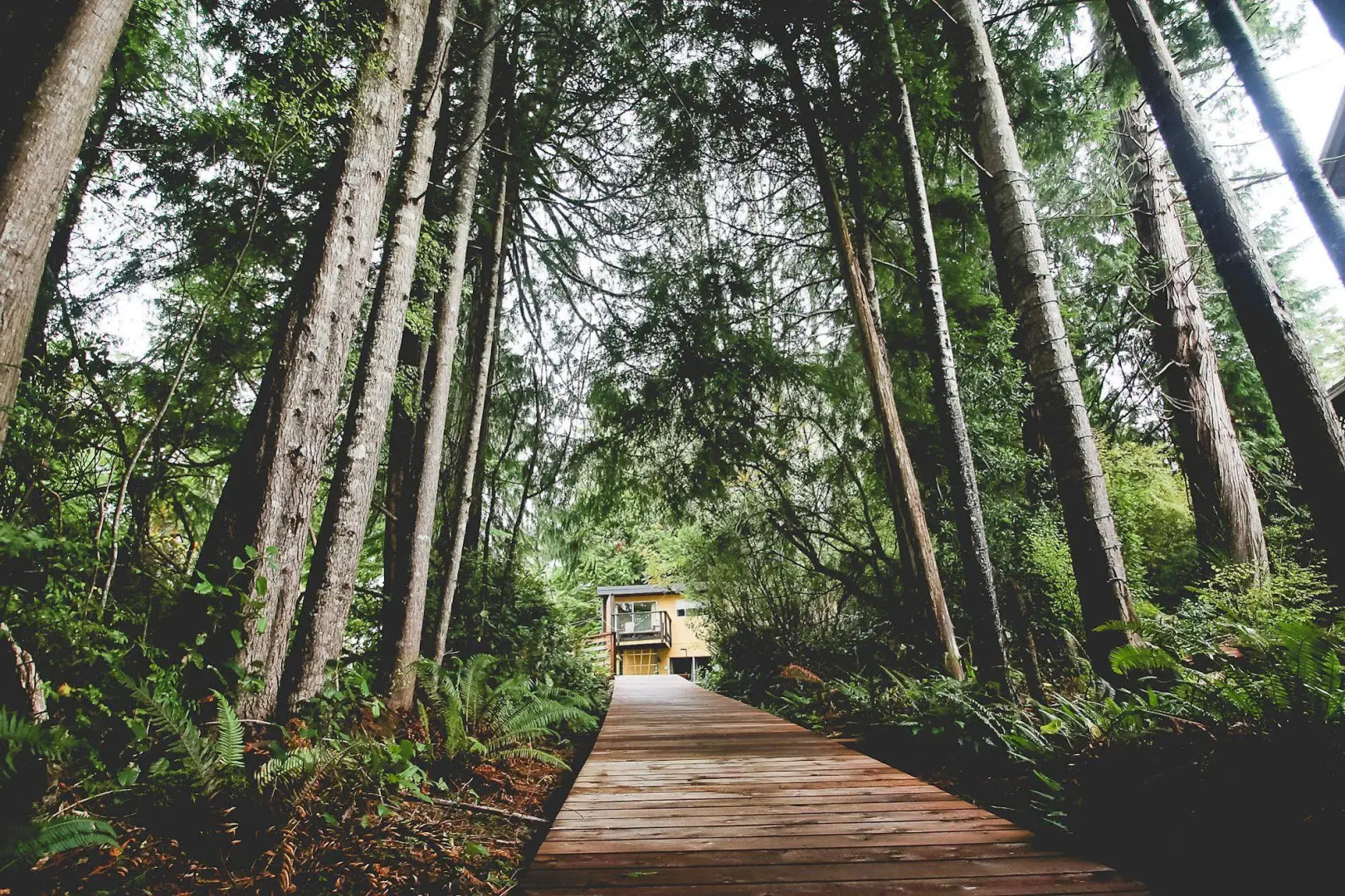 Duffin Cove Oceanfront Lodging