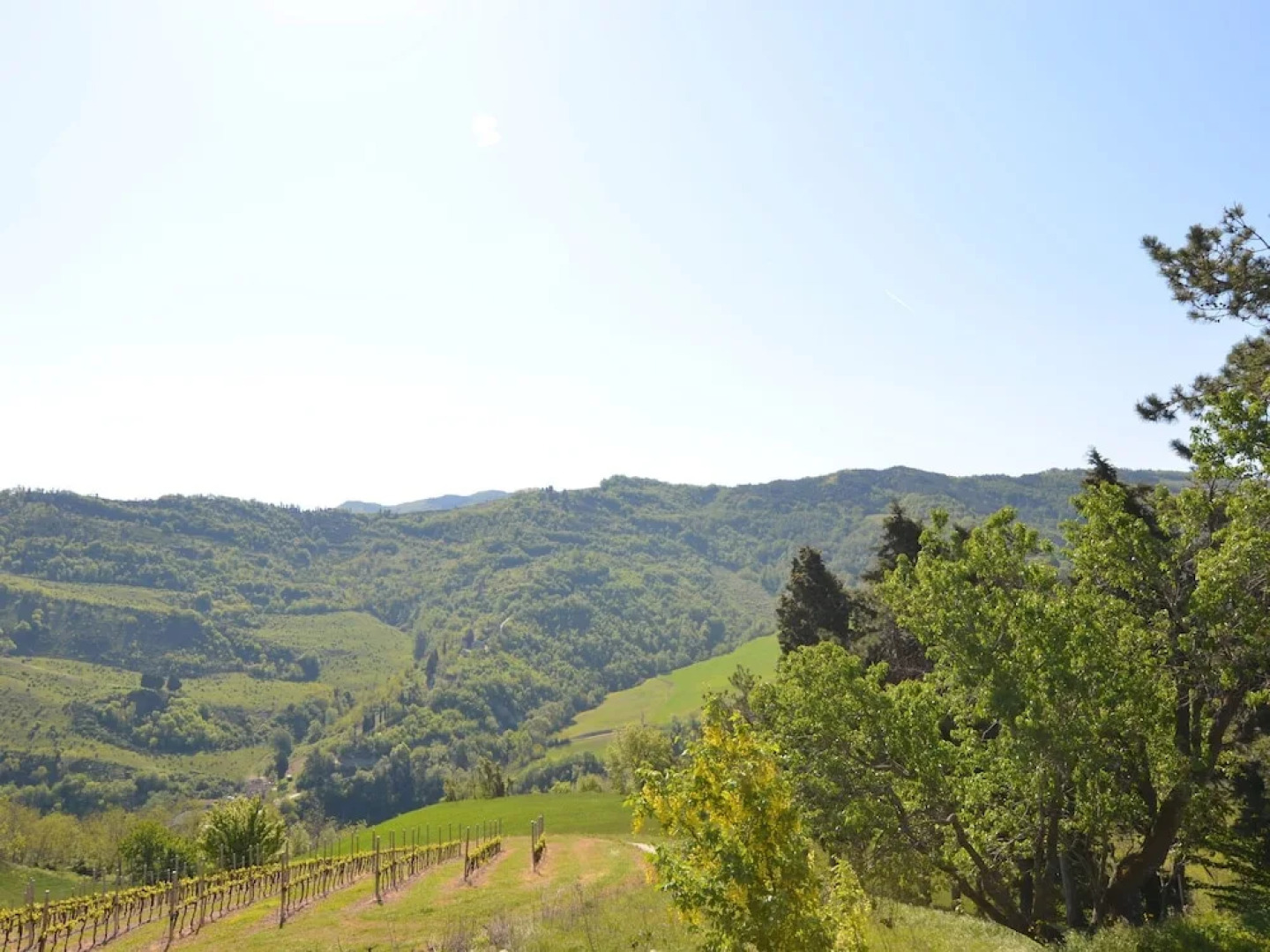 Apartment in Modigliana With Bbq, Garden, Garden Furniture