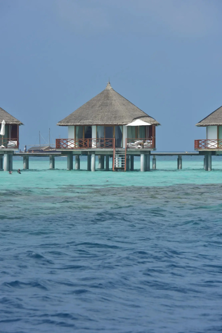 Safari Island Resort