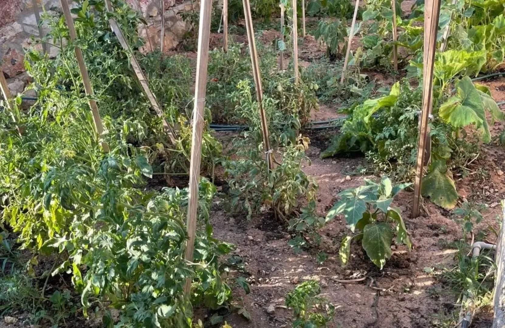 Stonehouse With Sea View and Garden in Bozburun