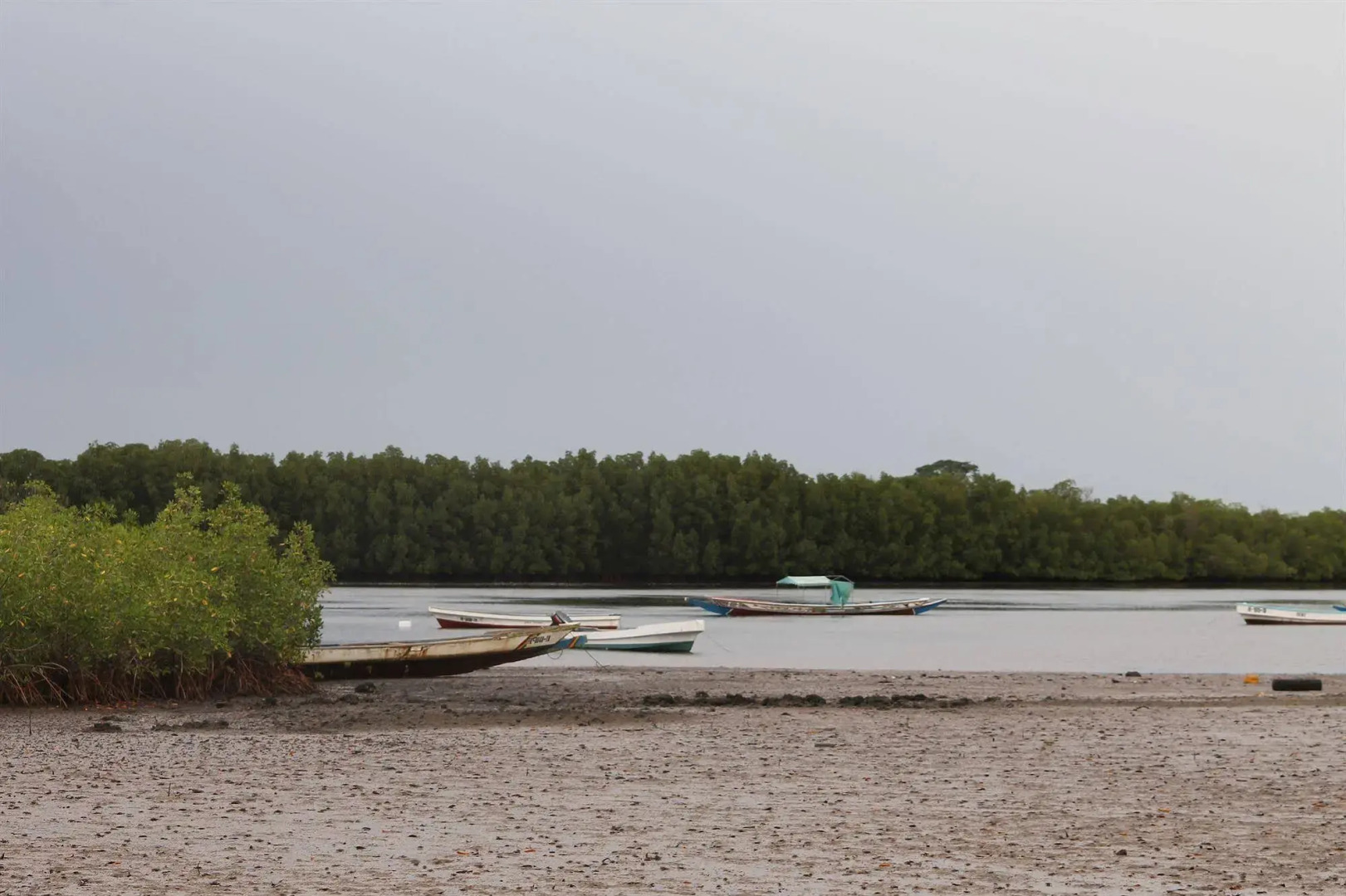 Fathala Wildlife Reserve