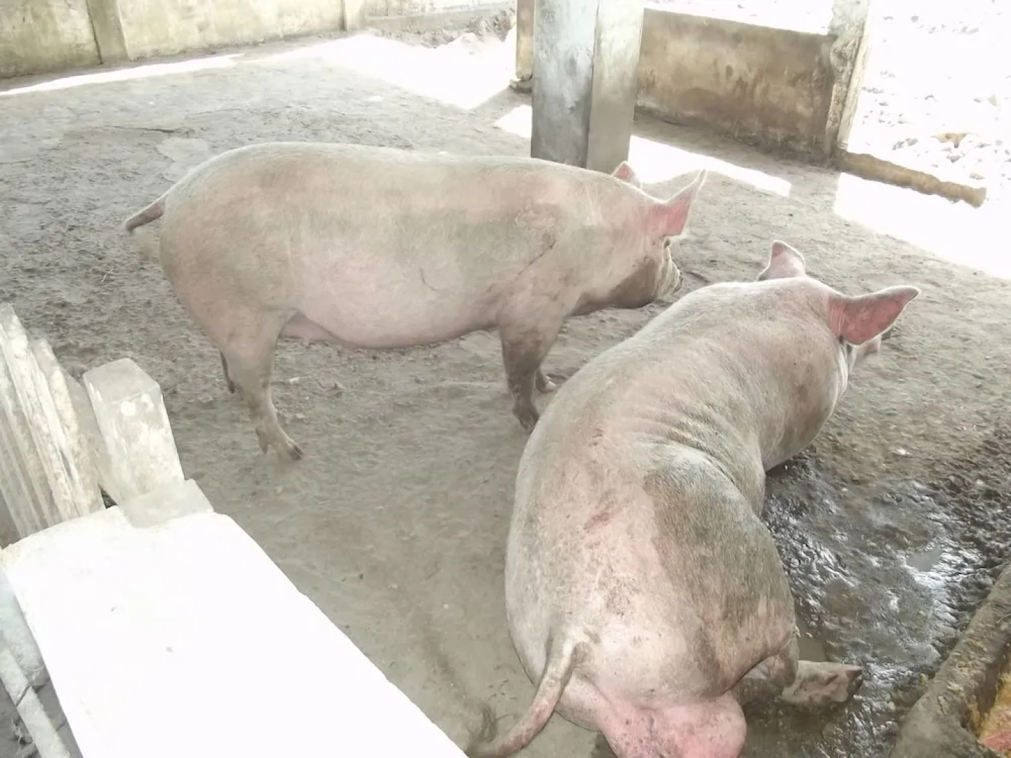 Hotel Fazenda Recanto