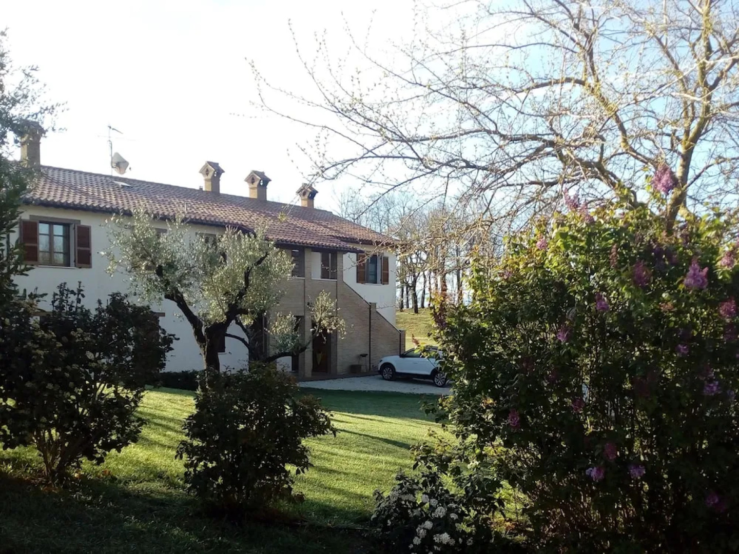 Agriturismo Il Beccafico Alpaca