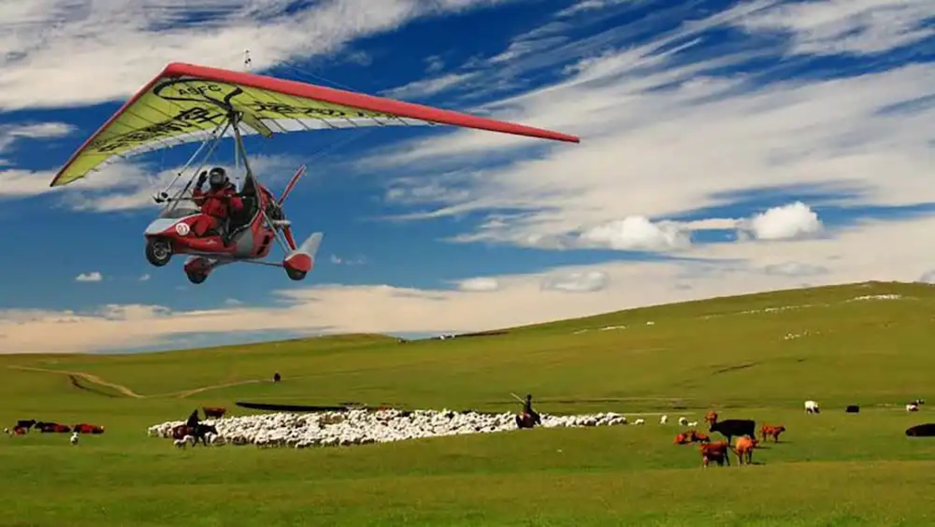 Xilingol Auspicious Horses