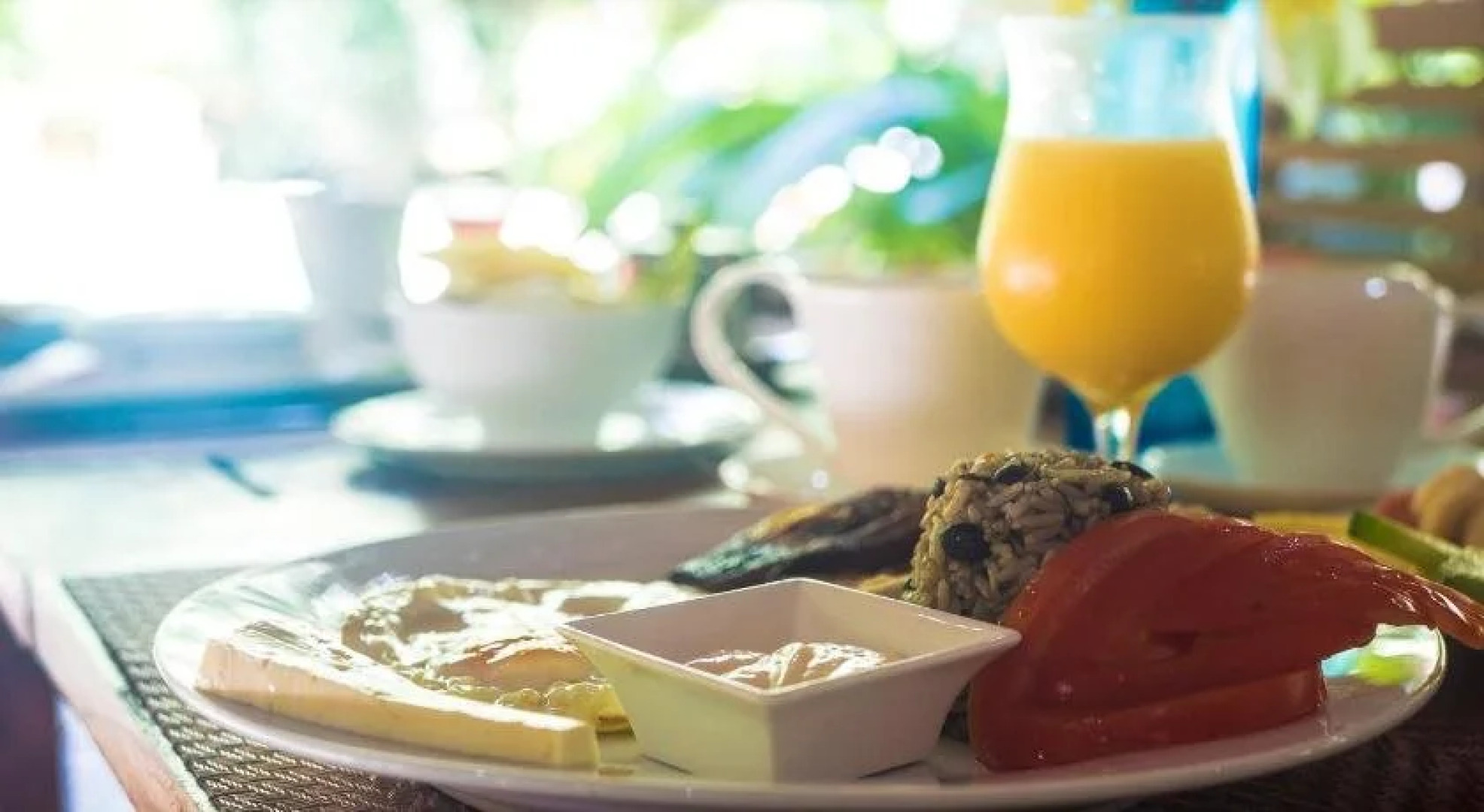 Hotel El Pequeño Gecko Verde