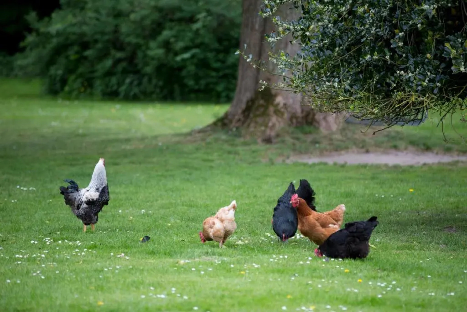 Ny Kirstineberg Gods Bed & Breakfast