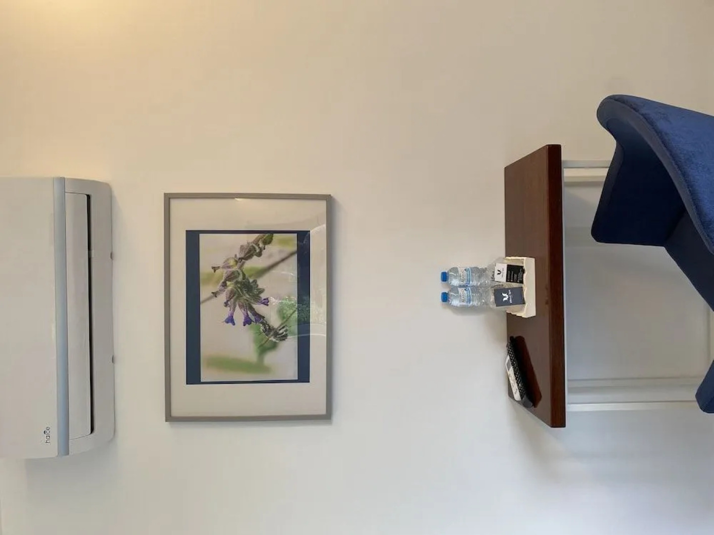 Olhos d' Água Alojamento Local