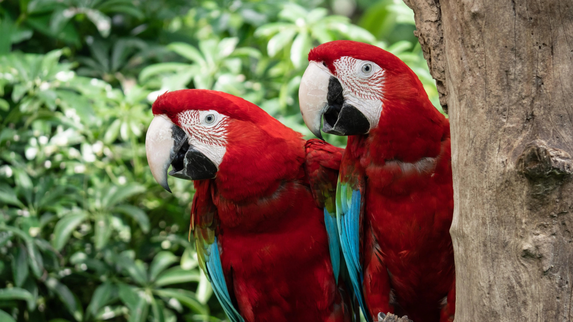 Campanile Limoges Nord