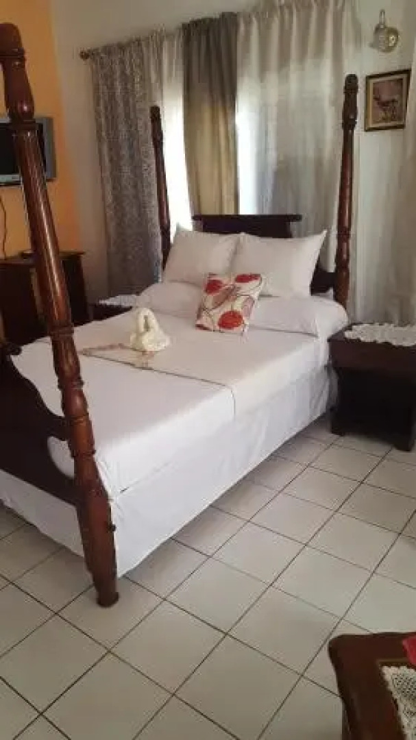 Palm Tree Guest House