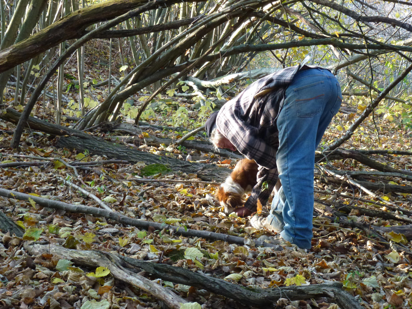 Castello di Baccaresca