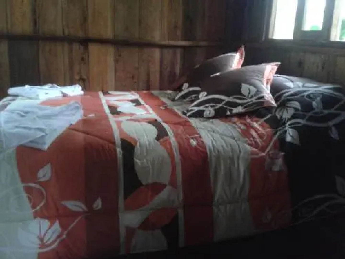 Mindogreen Turismo Ecológico