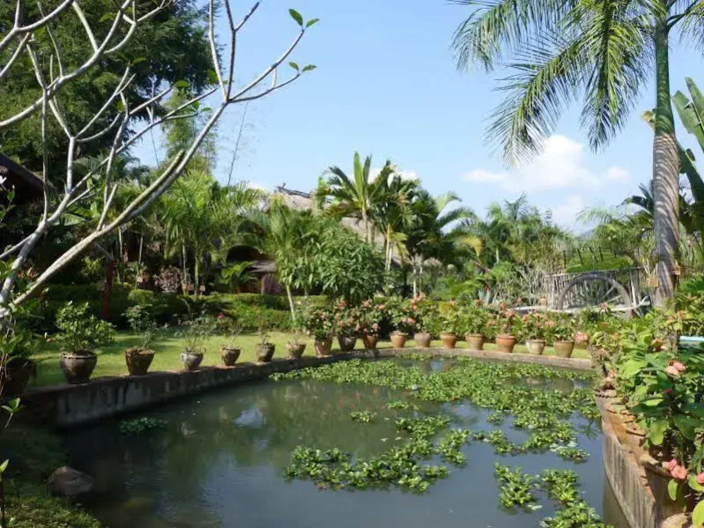 Thongbay Guesthouse Luang Prabang