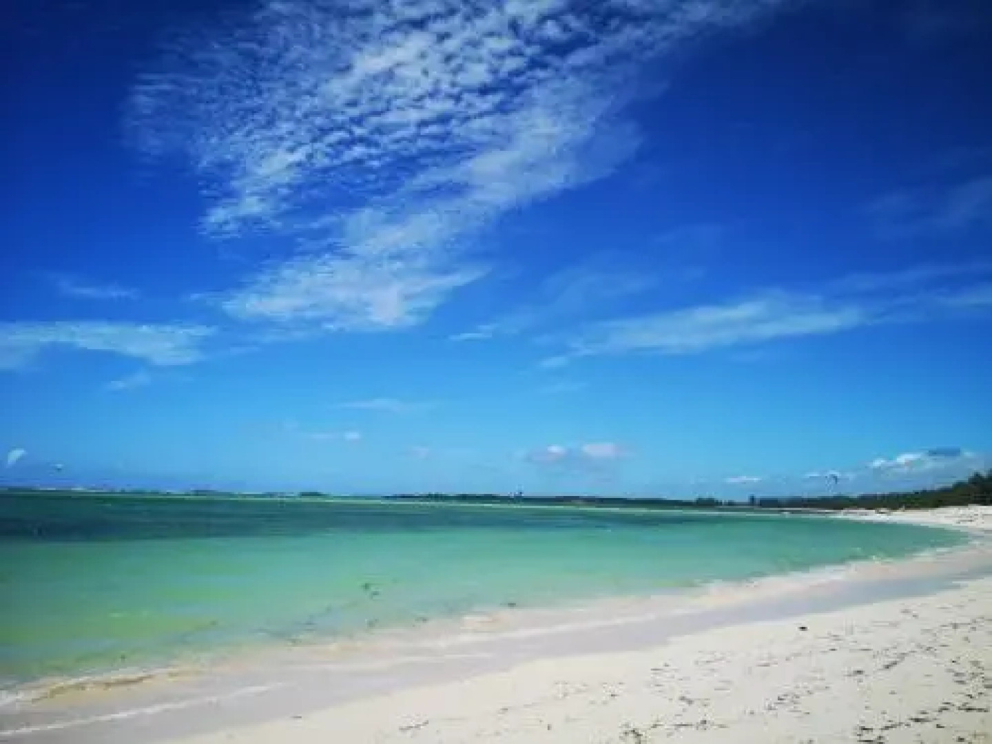 Ocean Lodge Kite  Windsurf