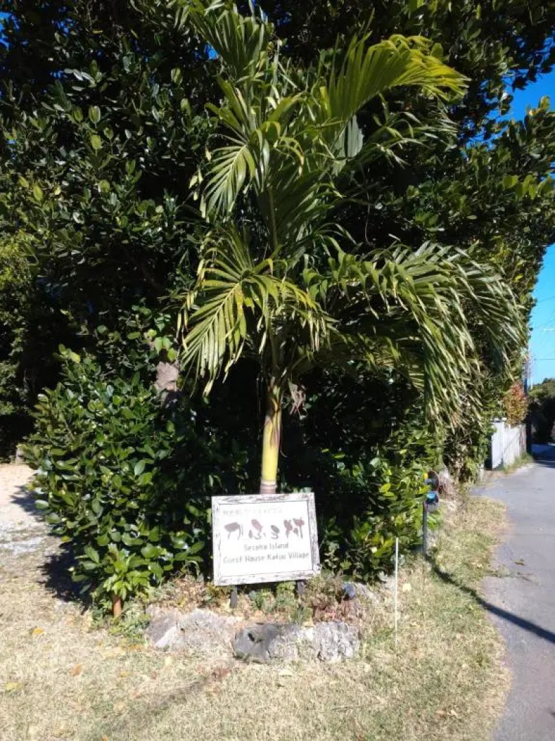 Sesoko Island Guest House Kafuu Village