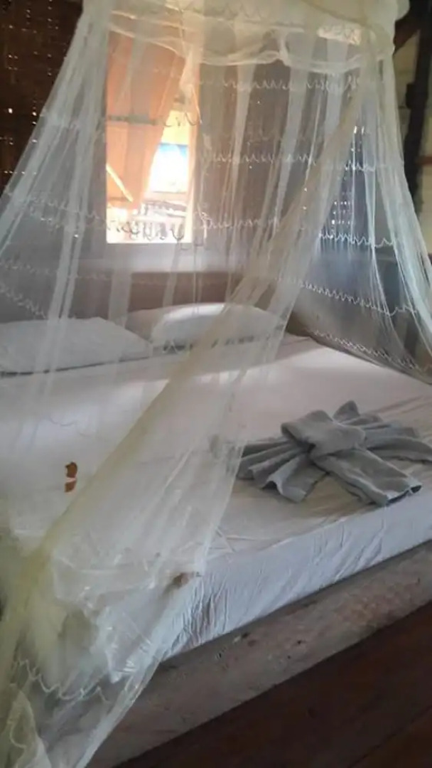 Good Morning Bungalow