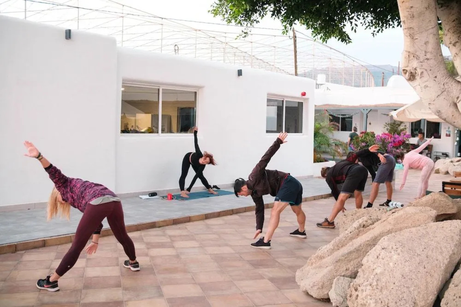 The Tree House Hostel