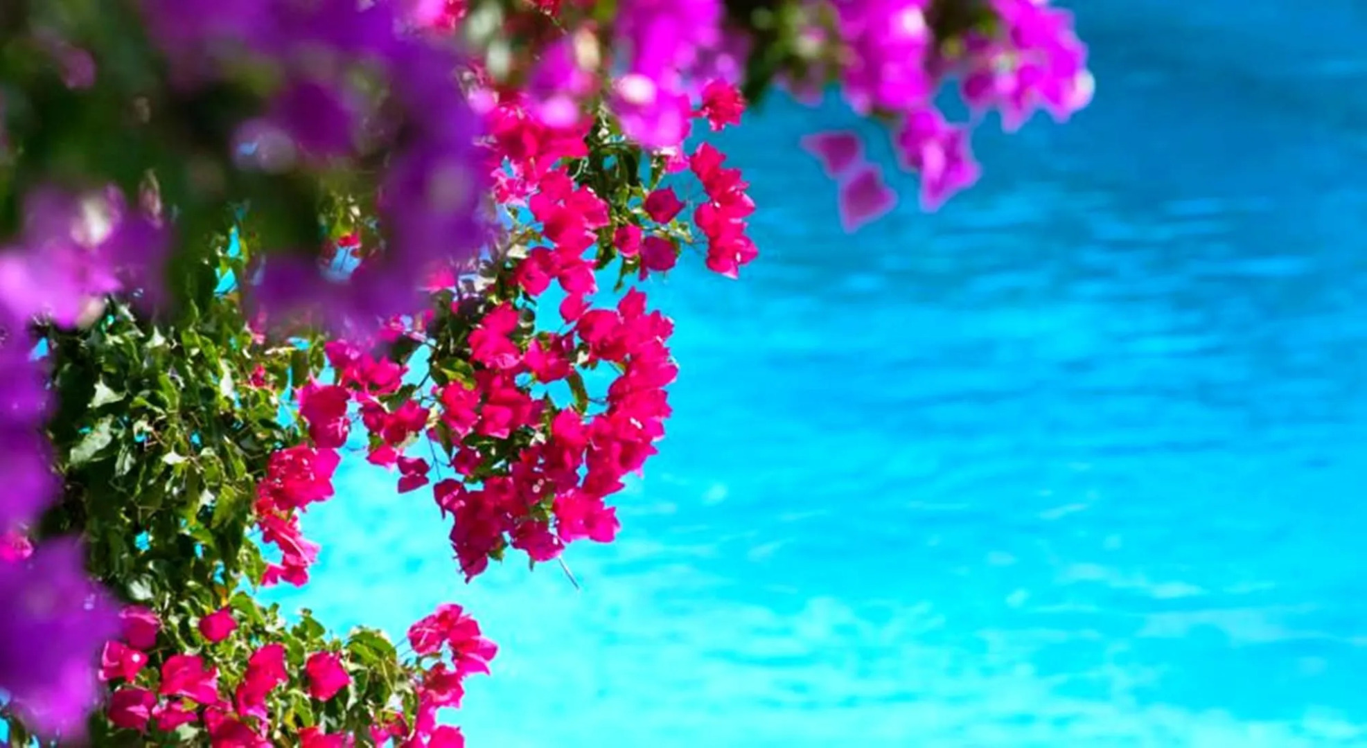 Douka Seafront Residences