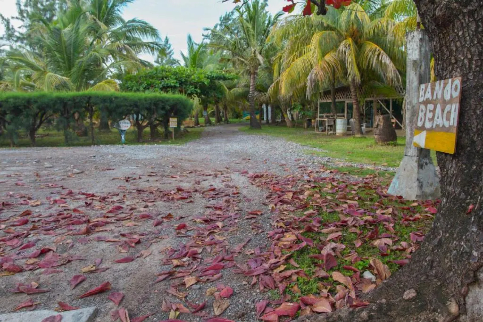 Sea Eye Hotel - Tropical Building