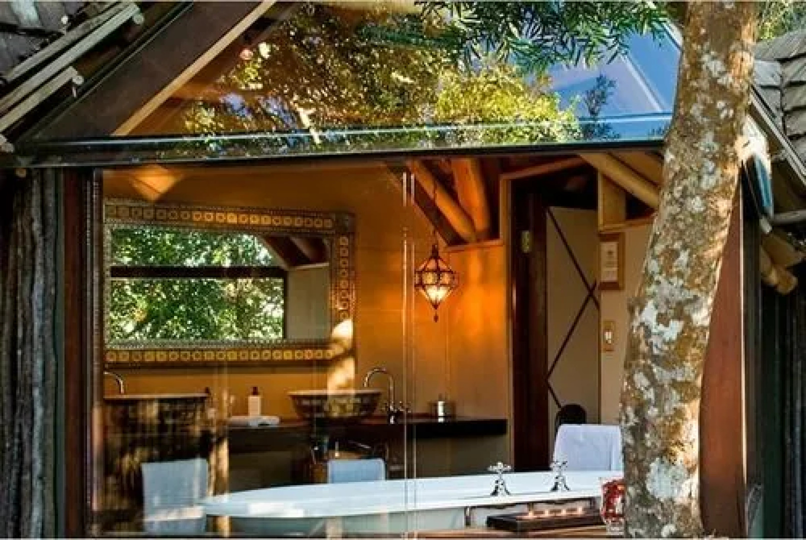 Phantom Forest Eco Reserve