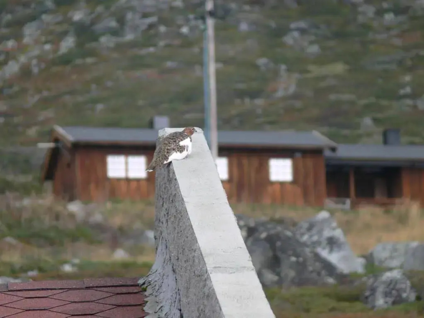 Storestølen Fjellhotell