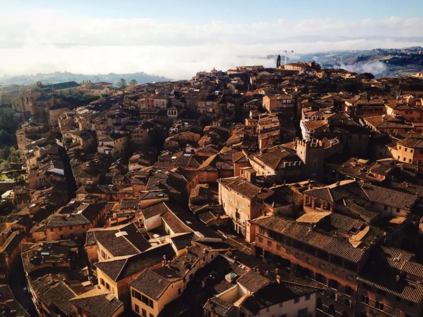 2 bedrooms house with shared pool garden and wifi at Caprese Michelangelo