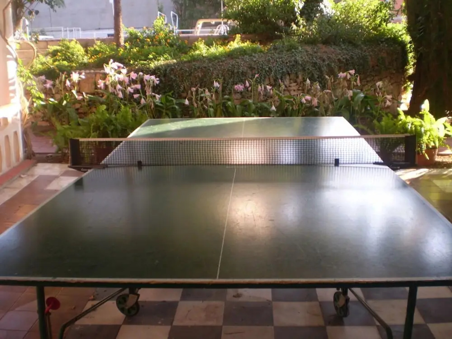 Apartamentos El Oasis