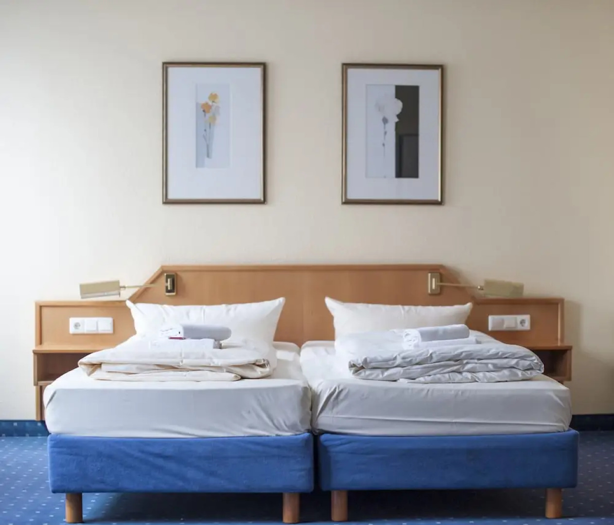 Stargaze Forum Hotel