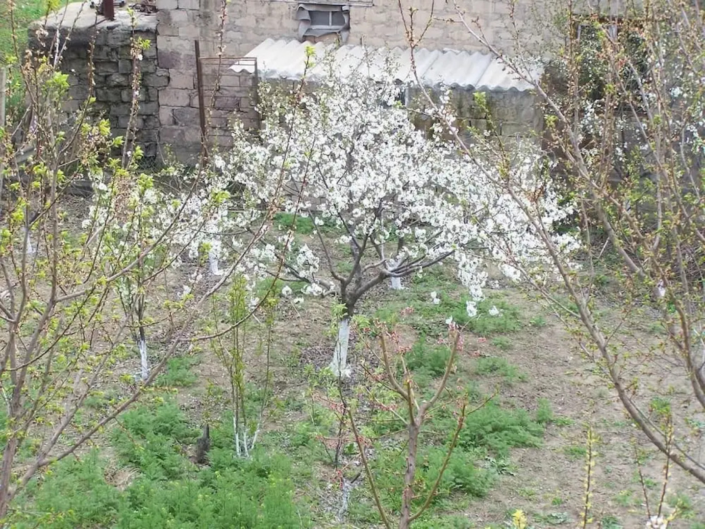 Мини-отель B&B Sunrise House, Айгаван, Армения