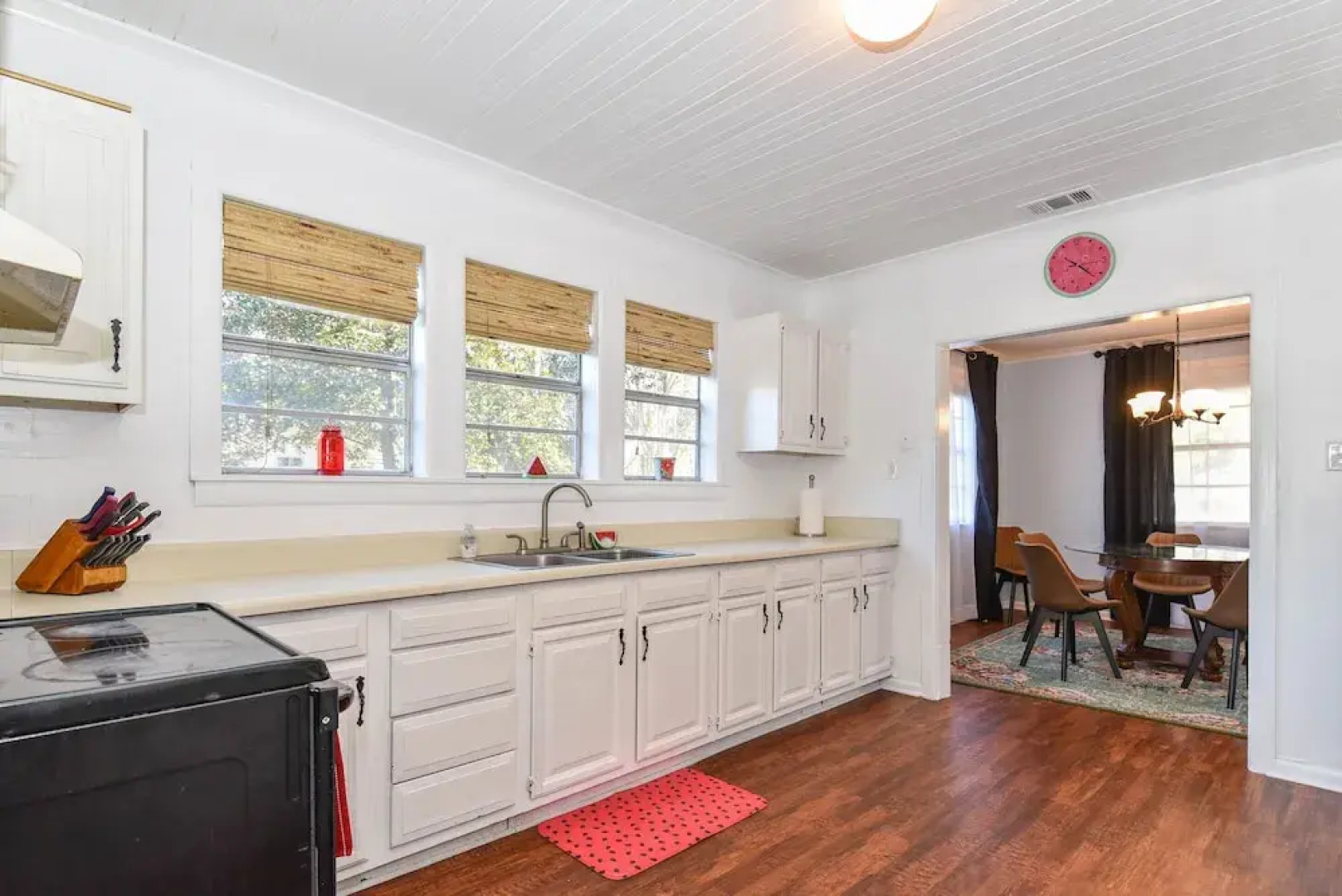 Summertime Pet-friendly 30 min Savannah