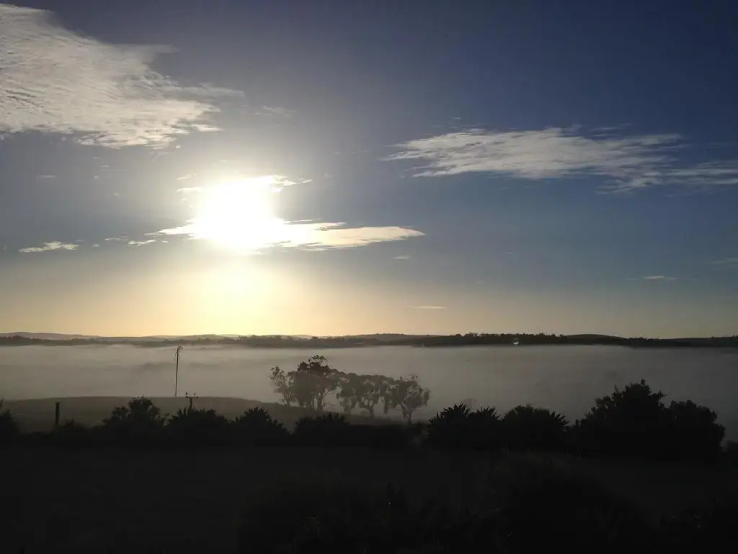 Mt Surmon Wines/Scarlattis Gallery/The Retreat