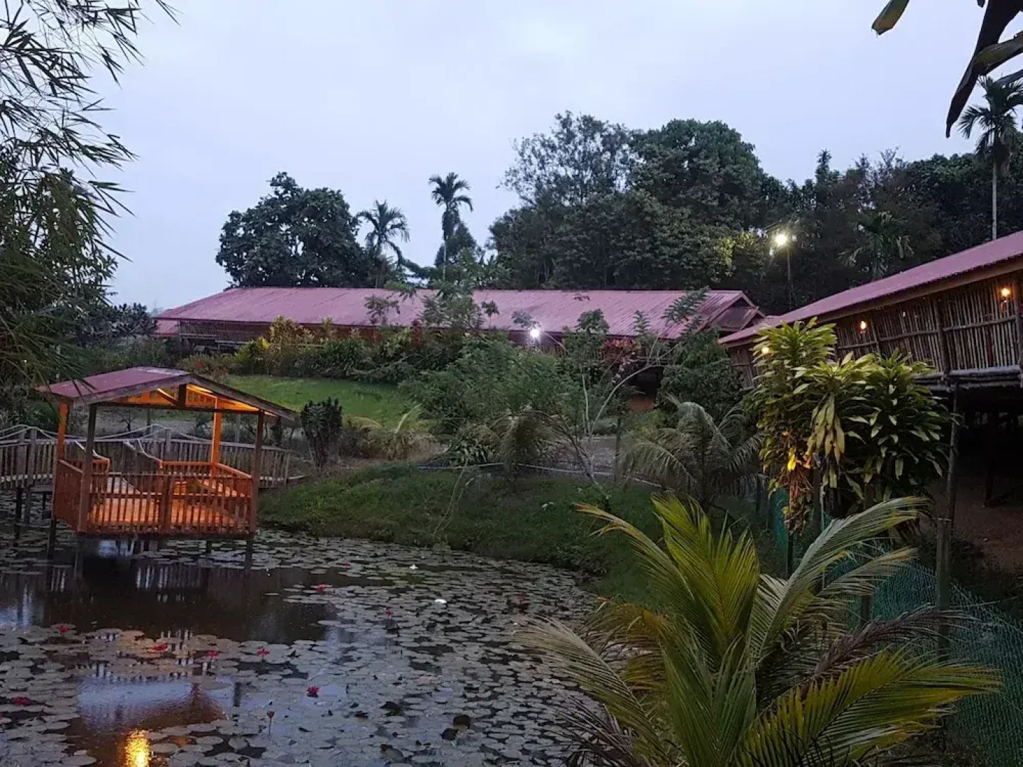 Sabah Tea Resort