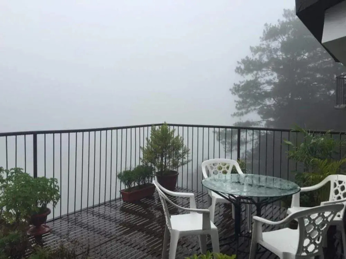 Kensington Garden BNB