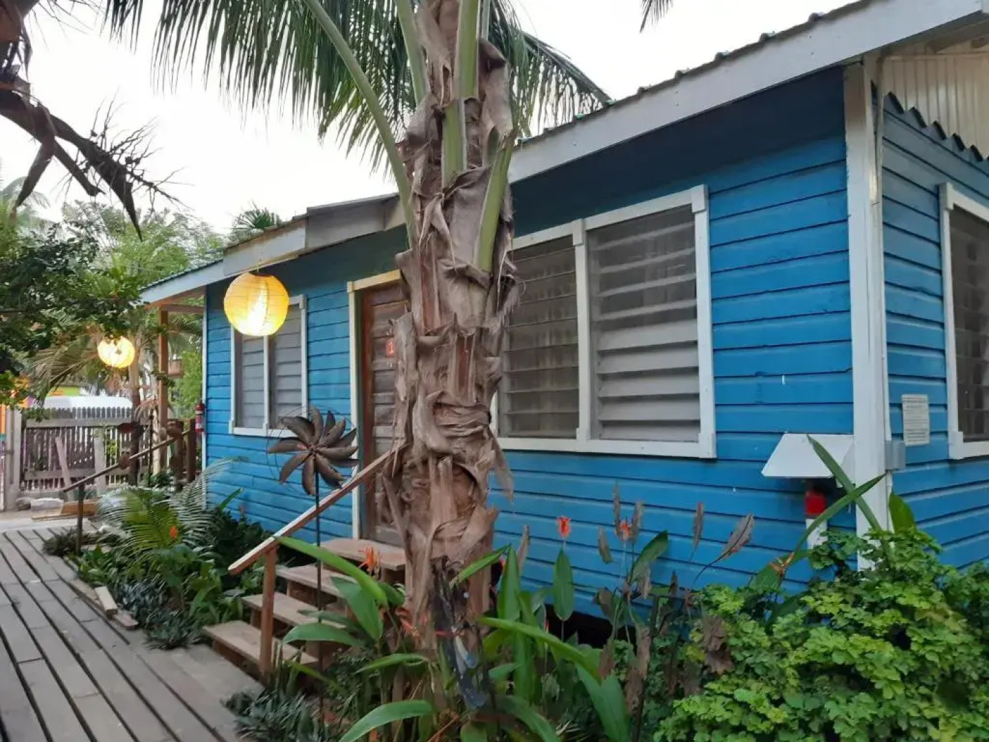 The Funky Dodo Backpackers Hostel