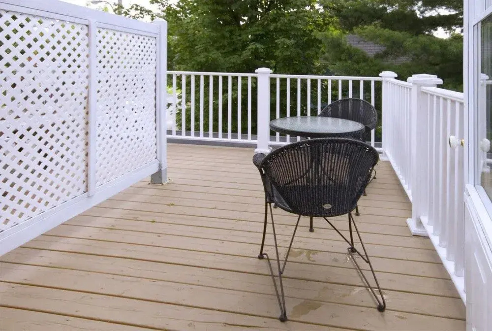 Une Fleur au Bord de l'Eau
