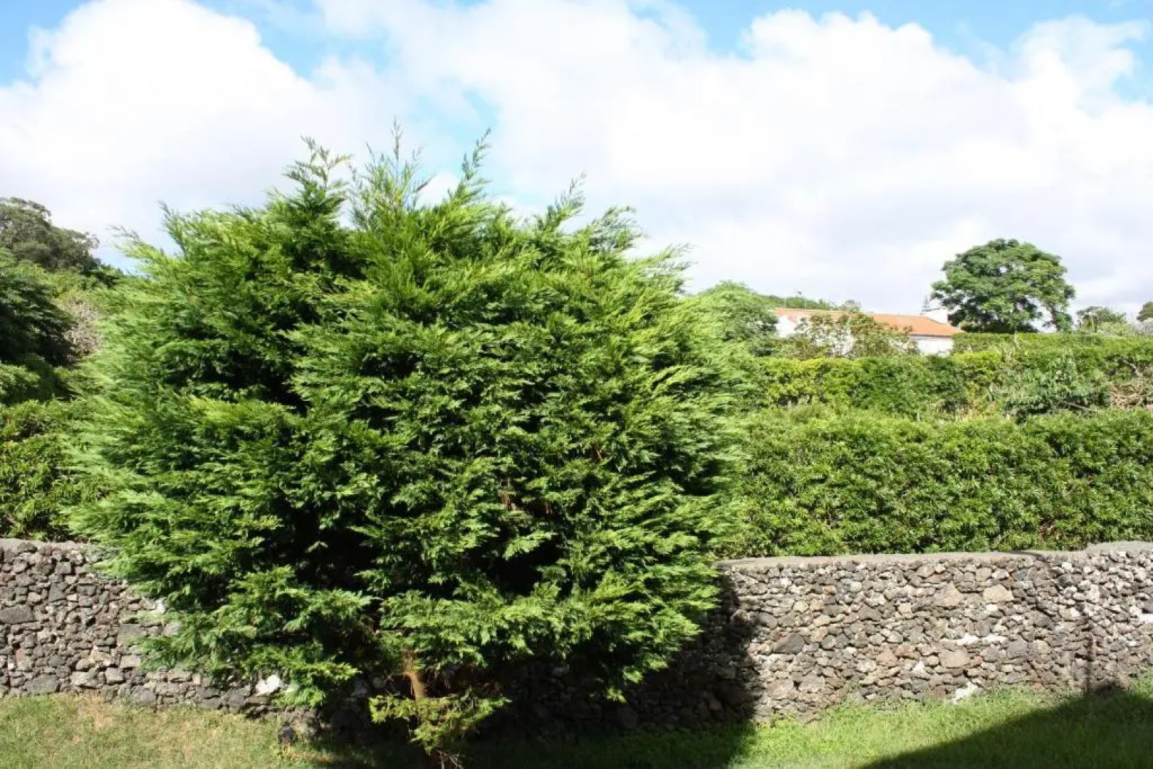 Apartamento Mar e Serra